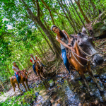 Vida Aventura Nature Park - Horseback Riding